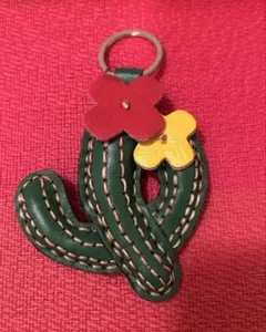 Coach Watermelon コーチ スイカ チャーム キーリング | Mercari