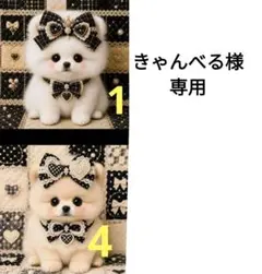 くじら様❣️handmadeオーダーページ＊リボン黒ねこちゃん - メルカリ