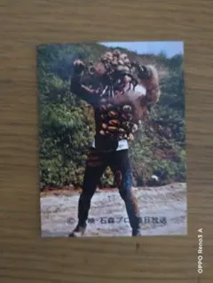 仮面ライダー・仮面ライダーV3カード完全図鑑 日本唯一の仮面ライダー