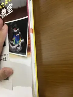 【裁断済】レジデントのための心エコー教室