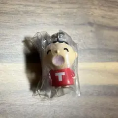 めじるしアクセサリー サンリオキャラクターズオールスターズ