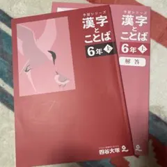 2026年最新】四谷大塚 予習シリーズ 6年上の人気アイテム - メルカリ