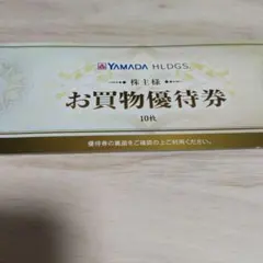 ヤマダ電機　YAMADA HLDGS. お買物優待券 5000円分