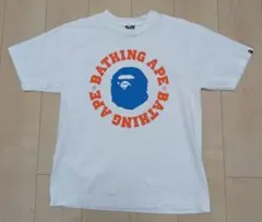 Item thumbnail for item 707fa332-da27-4056-8032-aea41d8f6e29