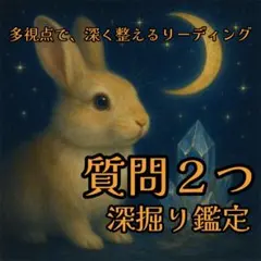 ご相談２つꕤ深掘りチャット鑑定⟡ ࣪