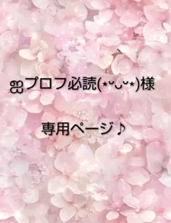 bmm.プロフ必読 ページ 2026年最新】プロフ必読のページの人気アイテム - メルカリ