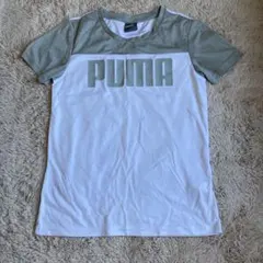 PUMA 半袖Tシャツ ホワイト/グレー
