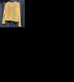 Item thumbnail for item a8eff343-5384-419b-b15f-bcd20ca5208a