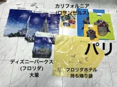 レア❣️新品 ディズニー 海外 ビニールショッパー 62枚 フロリダ ロス パリ