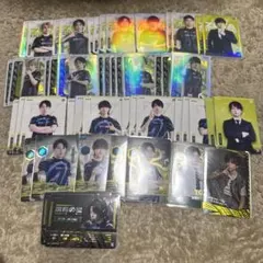 ZETA IJLカード　夏季秋季　バラ不可