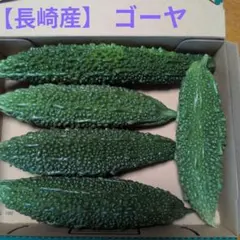 ②【長崎産】 ゴーヤ 苦瓜のサムネイル