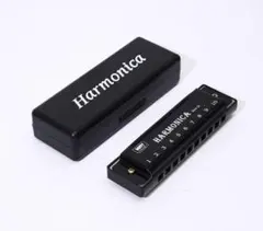 新品 10ホールズ ハーモニカ レッド ケース付き 10穴 ハーモニカ ポケットのサムネイル