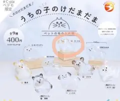 うちの子のけだまだま