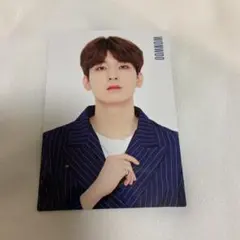 SEVENTEEN トレカ ウォヌ