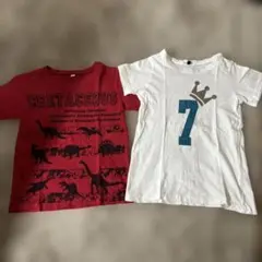キッズTシャツ2枚セット 120