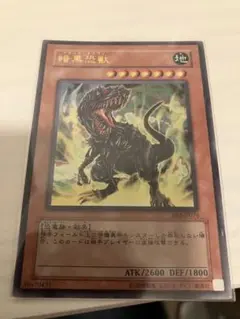 遊戯王 ブラックティラノ ウルパラ パラレル 準美品 遊戯王 ブラックティラノ ウルパラ パラレル 準美品 2025年最新