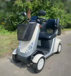 HONDA 電動カート シニアカー青色 メッシュバスケット　引き取りできる方限定 2025年最新】Honda 電動カートの人気アイテム - メルカリ