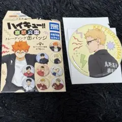 ハイキュー 喜怒哀楽 缶バッジ 月島蛍