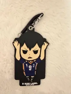 ハイキュー!! 影山飛雄 パスケース B SIDE LABEL