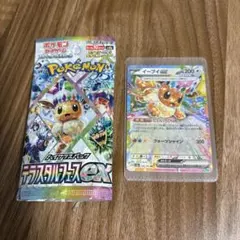 2025年最新】イーブイex rr psa10の人気アイテム - メルカリ