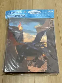 黒リザードン　カードファイルコレクション