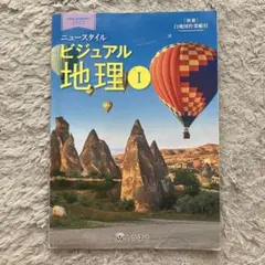 ニュースタイル ビジュアル地理 I