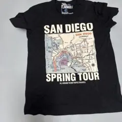 ZARA FLAMMABLE サンディエゴ プリントTシャツ Lサイズのサムネイル