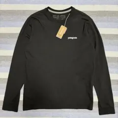 新品 patagonia フィッツ ロイ ホライゾン レスポンシビリティーロンT