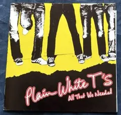Plain White T's All That We Needed