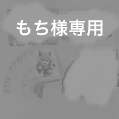 もち様専用