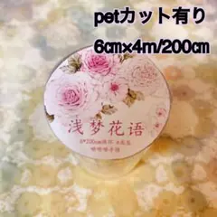 欠品なし】家庭保育園 TANEMAKI English フラッシュカードセット