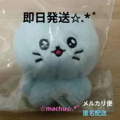 【新品・未開封】チェゴシム ぬいぐるみマスコットねこゴシム