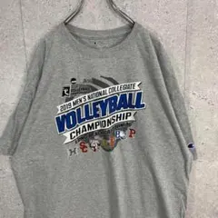 ビンテージ古着USA製90s 霜降り カレッジ ソフトボール プリントT 