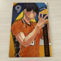 ハイキュー!! 影山飛雄 ポートレートカード