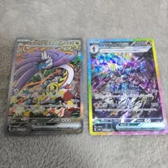 テラスタルフェス　ソウブレイズ　タケルライコ　sar