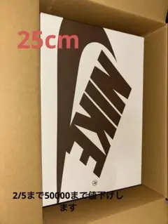 Travis Scott × Nike Air Jordan 1 Low