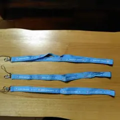 Item thumbnail for item 49c11daf-dba5-45e0-a619-61fd637bdd6a