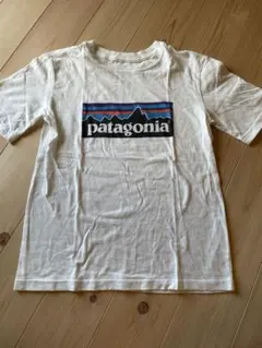 patagonia オーガニックコットン Tシャツ S