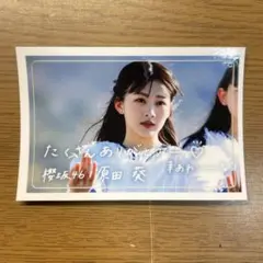 2026年最新】原田葵の人気アイテム - メルカリ