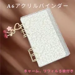 アクリルバインダー　貯金バインダー　A6 saving 貯金 韓国　トレカ収納