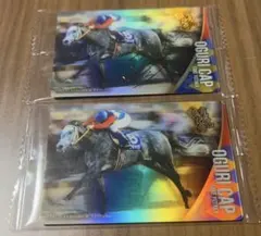 サラブレッドホースコレクション第 2R金箔サイン入りサインなしオグリキャップ