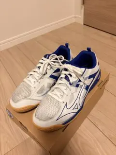 ✨週末値引中✨ミズノ 卓球シューズ 24.5cm　ウエーブカイザーブルグ7