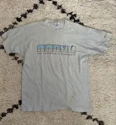 カナダ製フルーツオブザルーム　グレー Tシャツ XL
