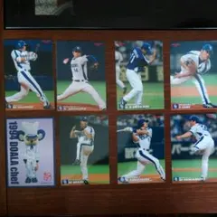 プロ野球カード プロ野球チップスカード 中日ドラゴンズ