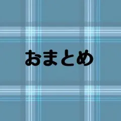 ゆんP様 リクエスト 2点 まとめ商品