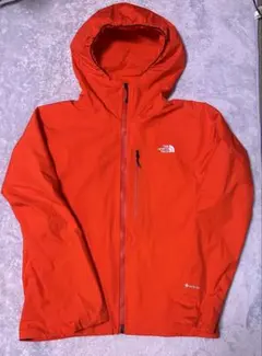 The North Face GORE-TEX マウンテンパーカー Lサイズ