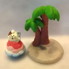 コンコンブル　夏セット