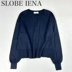 スローブイエナ 美品 25SS FROSTYCOTTONクループルオーバー