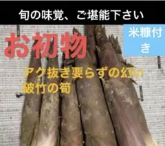 和歌山県産 はちく のんたん 和歌山県産 はちく のんたん様専用 - メルカリ