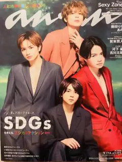 セクシーアクション 雑誌 セット 10冊 2025年最新】セクシーアクション 雑誌の人気アイテム - メルカリ